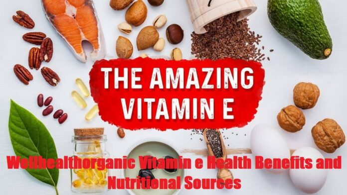 wellhealthorganic.com:vitamin-e-health-benefits-and-nutritional-sources